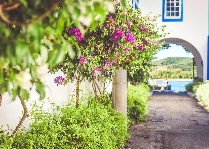 Cabo Frio - Aluguel Temporada - Apartamento Inteiro - Aconchegante - Economico - Prox Praia Do Forte - Centro - Rua Dos Biquinis - Otimo Para Familia